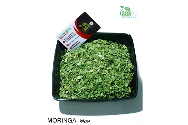 Moringa