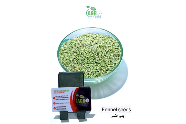 fennel seeds