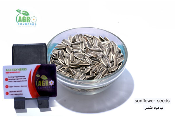 sunflower seeds